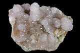 Cactus Quartz (Amethyst) Crystal Cluster - South Africa #137817-1